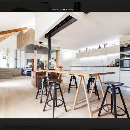 Loft Proche Paris, Charpente Apparente * Pantin